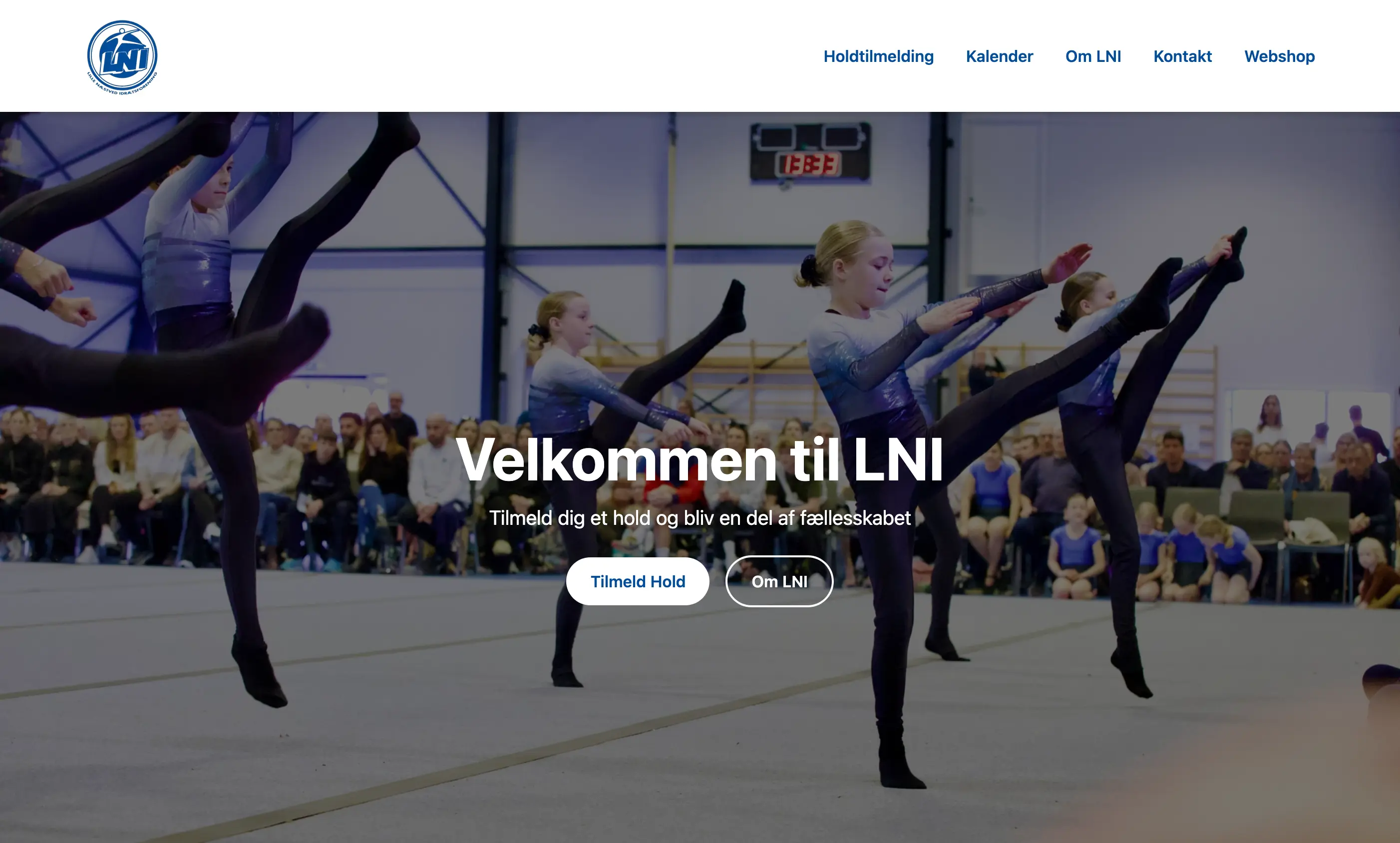 Lille Næstved Idrætsforening